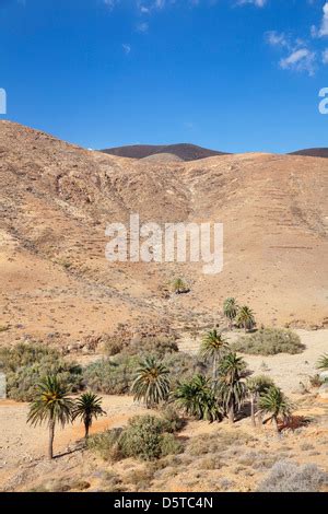 Gay Fuerteventura, Canary Islands – Spain 